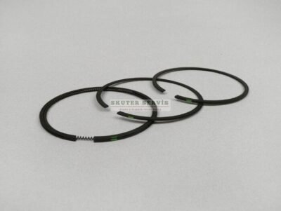 Parça: Nexus 250 Segman Set