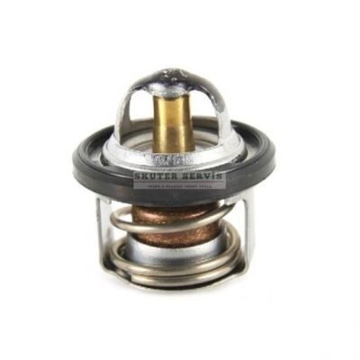 Parça: Nexus 250 Termostat